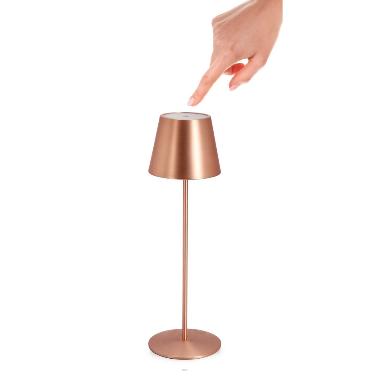 BT ANETTE Bronze modern Indoor table lamp